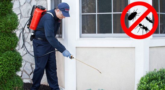 Zeytinalanı Haşere İlaçlama böcek ilaçlama ve haşere kontrolü — ilaclama-tr.com
